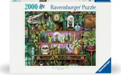 Ravensburger Erwachsenenpuzzle>A Witch'S Favorite Things - Puzzle 2000 Teile