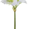Fink Dekoration>AMARYLLIS/Caprice,weiss/H.49cm