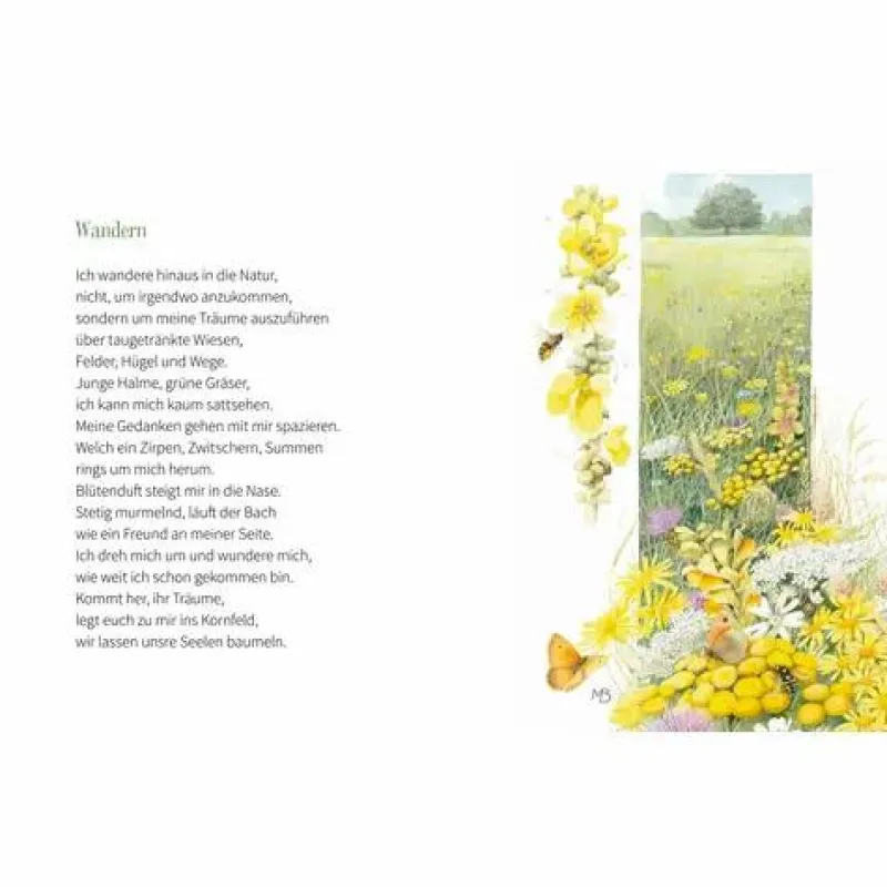 COPPENRATH SPG Geschenkbücher>Augenweide Hallo Leben, Du Bist So Schön