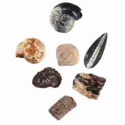 Moses Experimentieren><noscript><img width=