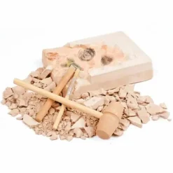 Moses Experimentieren><noscript><img width=