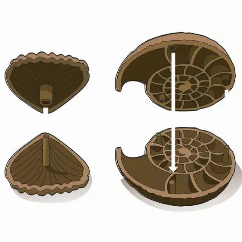 Clementoni Experimentieren>Ausgrabungsset: Fossilien & Mineralien