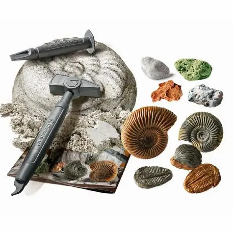 Clementoni Experimentieren>Ausgrabungsset: Fossilien & Mineralien