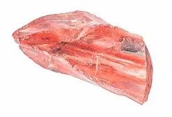 Moses Basteln><noscript><img width=