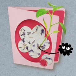 Kosmos Basteln><noscript><img width=