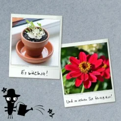 Kosmos Basteln><noscript><img width=