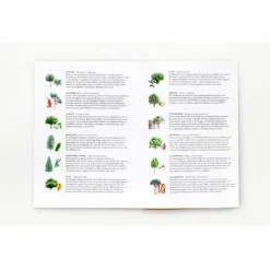 Laurence King Familien- Und Gesellschaftsspiele>Baum-Bingo