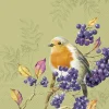 IHR Servietten|Servietten Und Serviettenringe>BIRD LIFE Green Lunch-Servietten L1085020