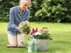 Moses Dekoration Für Garten Und Terrasse>Blatt & Blüte - Gießkanne