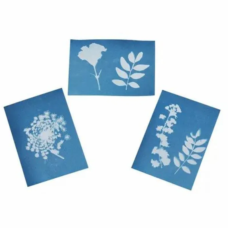 Moses Basteln>Blatt-und Blütenpresse mit Sonnendruckpapier - Exp