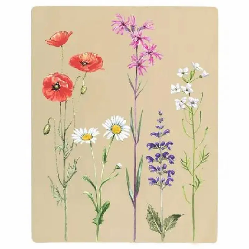 Moses Basteln>Blatt-und Blütenpresse mit Sonnendruckpapier - Exp