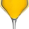 Eisch Bier Und Schnaps>Craft Beer Kelch 203/1