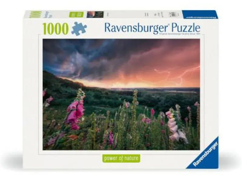 Ravensburger Erwachsenenpuzzle>Ein Sturm zieht auf - Puzzle 1000 Teile