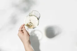 Zwiesel Kristallglas AG Wein><noscript><img width=