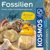Kosmos Experimentieren>Fossilien - Ausgrabungs-Set