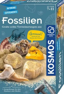 Kosmos Experimentieren>Fossilien - Ausgrabungs-Set