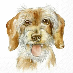 IHR Servietten Und Serviettenringe|Servietten>FRITZ Cocktail-Servietten C1080800