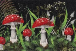 Kleen-Tex Fußmatten>Fußmatte Fliegenpilz 50x75cm