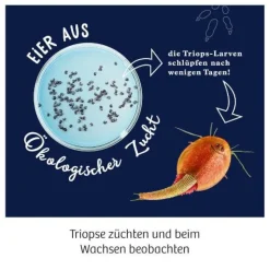 Kosmos Experimentieren><noscript><img width=