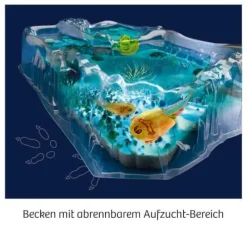 Kosmos Experimentieren><noscript><img width=