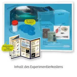 Kosmos Experimentieren>Fun Science - Wuselnde Salzkrebse