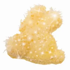 Moses Experimentieren>Funkelnder Kristall-Frühlingsfreund