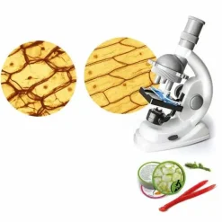 Clementoni Experimentieren>Galileo - Natur unter dem Mikroskop