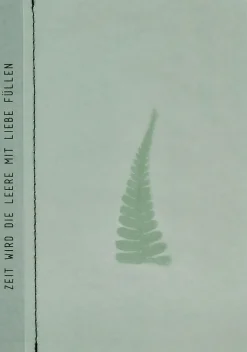 Räder Karten>Genähte Tranparentpapierkarte Farn