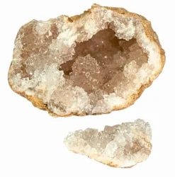 Moses Experimentieren><noscript><img width=