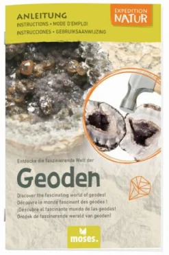 Moses Experimentieren><noscript><img width=