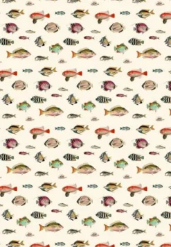 COPPENRATH SPG Geschenkbücher><noscript><img width=