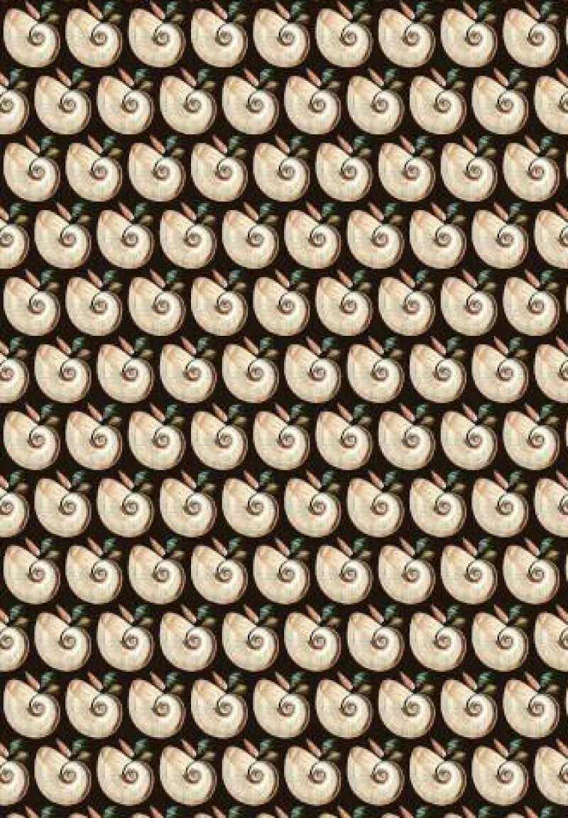 COPPENRATH SPG Geschenkbücher>Geschenkpapier-Buch - Schöner schenken (I love my