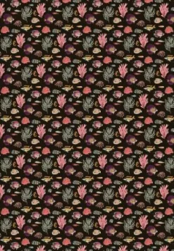 COPPENRATH SPG Geschenkbücher><noscript><img width=