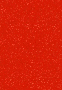 COPPENRATH SPG Geschenkverpackung Und Kleine Aufmerksamkeiten><noscript><img width=