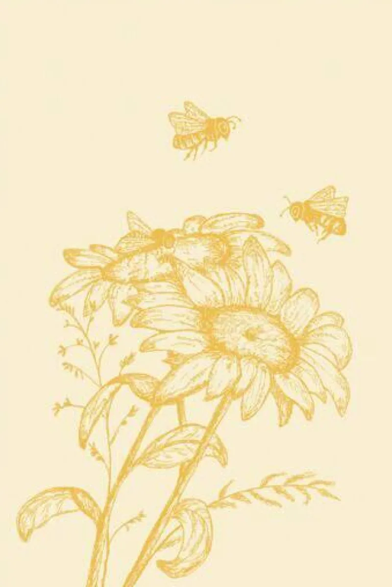 Meyer-Mayor Küchentextilien>Geschirrtuch "Biene" honiggelb 50x75cm 100% Baumwo