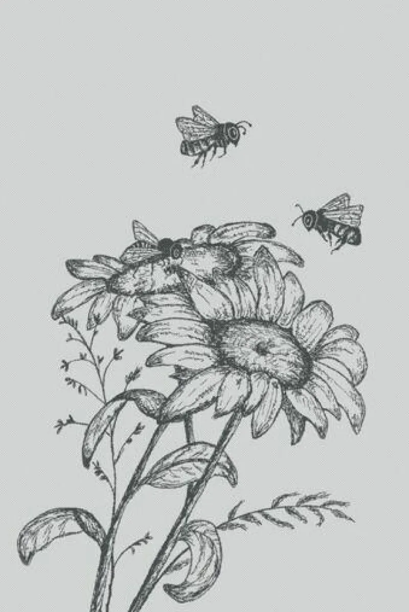 Meyer-Mayor Küchentextilien>Geschirrtuch "Biene" schwarz 50x75cm 100% Baumwoll