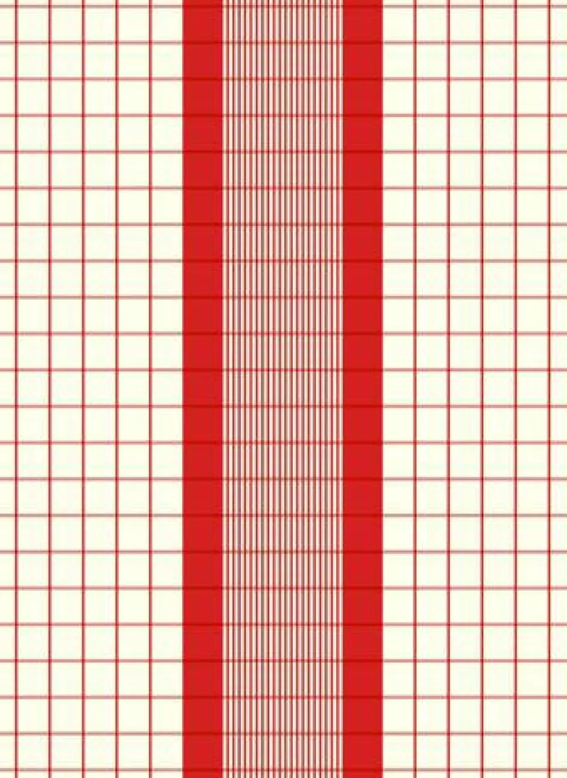 Meyer-Mayor Küchentextilien>Geschirrtuch "Karo Borde" rot 50x70cm 50% Leinen/5