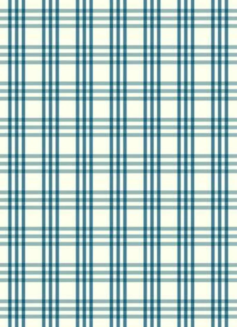 Meyer-Mayor Küchentextilien>Geschirrtuch "Karo gross" atlantik 50x70cm 50% Lei