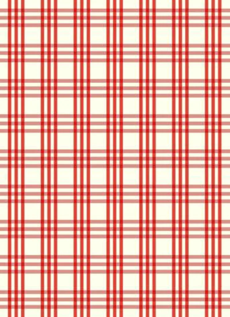 Meyer-Mayor Küchentextilien>Geschirrtuch "Karo gross" rot 50x70cm 50% Leinen/5