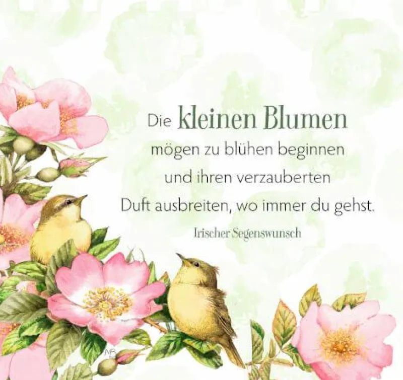 COPPENRATH SPG Geschenkbücher>Gr. Spiralaufstellb.: Zauberhafte Momente f. j. Ta