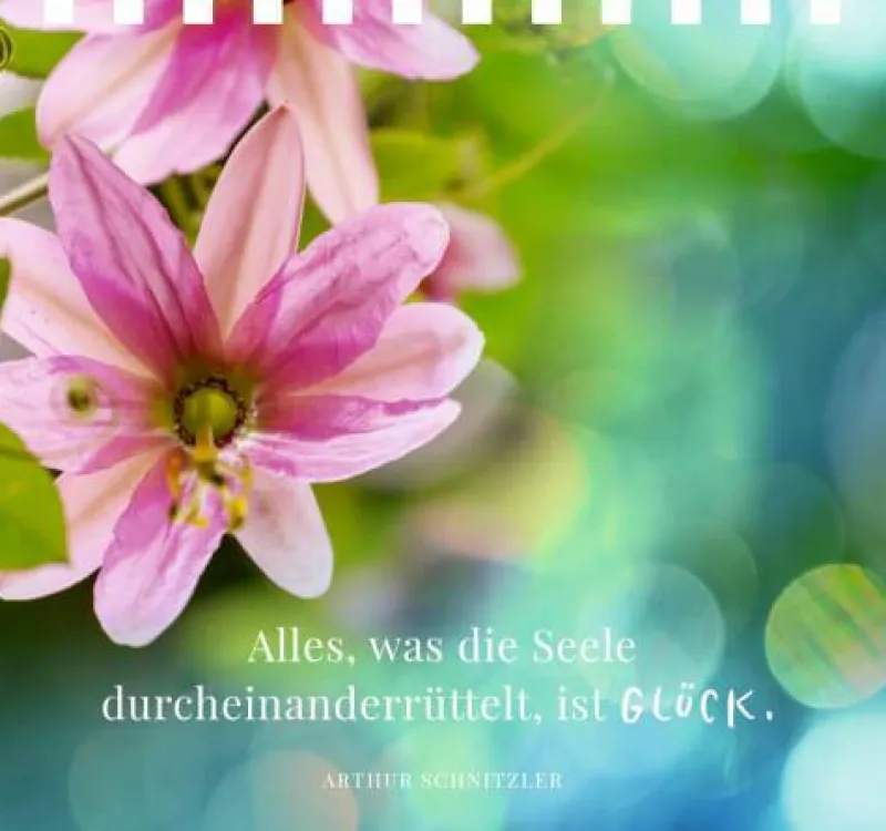 COPPENRATH SPG Geschenkbücher>Gr. Spiralaufstellbuch: Jugend ist aus, aber Prose