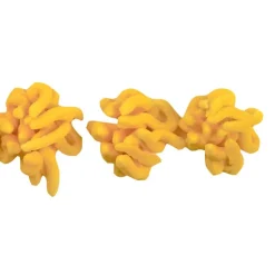 Staedter Gmbh Backzubehör>Grastülle 133/10mm