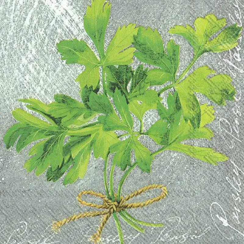IHR Servietten|Servietten Und Serviettenringe>HERBAL FLAVOUR PARSLEY Lunch-Servietten L 870000