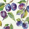 IHR Servietten|Servietten Und Serviettenringe>HOME GROWN PLUMS Cream Lunch-Servietten L1052660