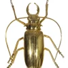 Shishi AS Dekoration>Insekt gold 15cm