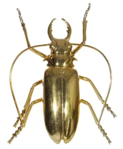 Shishi AS Dekoration>Insekt gold 15cm