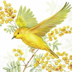 IHR Servietten Und Serviettenringe|Servietten>JOY OF SPRING Light Green Cocktail-Servietten C106