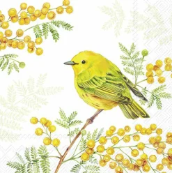 IHR Servietten Und Serviettenringe|Servietten>JOY OF SPRING Light Green Lunch-Servietten L106582