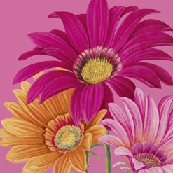IHR Servietten Und Serviettenringe|Servietten>JOYFUL GERBERA Pink Cocktail-Servietten C1038355