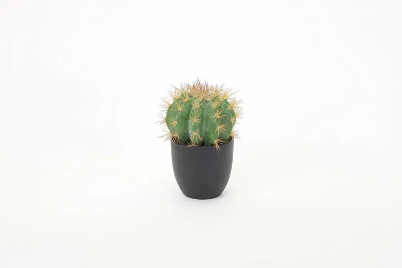 Werner Voß Wand- Und Fensterdekoration>Kaktus Oroya 14x24cm